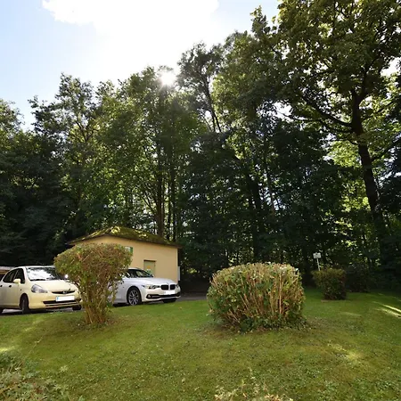 Ein Traum Im Leechwald Naehe Lkh *